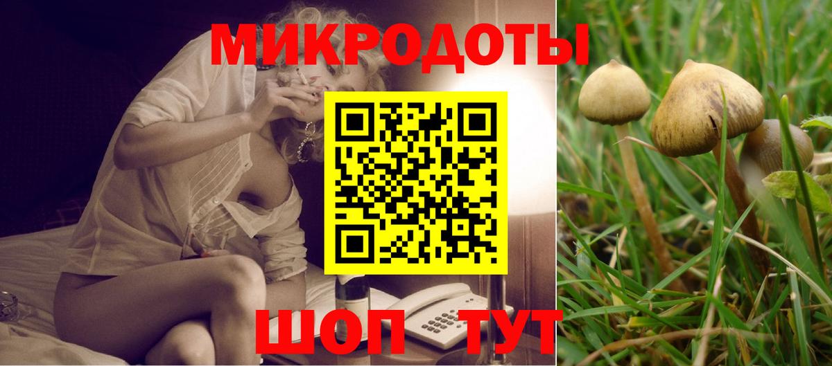 Анжеро-Судженск  как найти   Вход с VPN  Псилоцибиновые грибы Psilocybe 