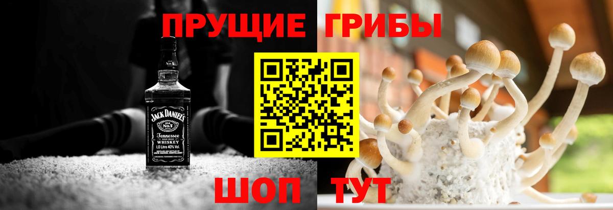 Галлюциногенные грибы GOLDEN TEACHER Анжеро-Судженск
